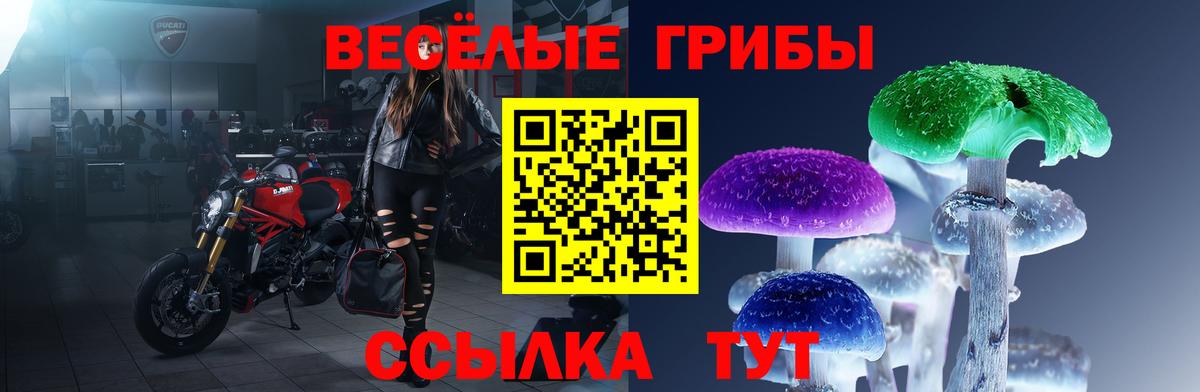 Галлюциногенные грибы прущие грибы Шебекино