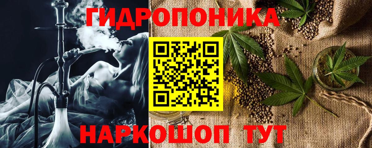 Шишки марихуана OG Kush  Бошки марихуана VHQ  Вход с VPN  Конопля Bruce Banner  Шебекино 